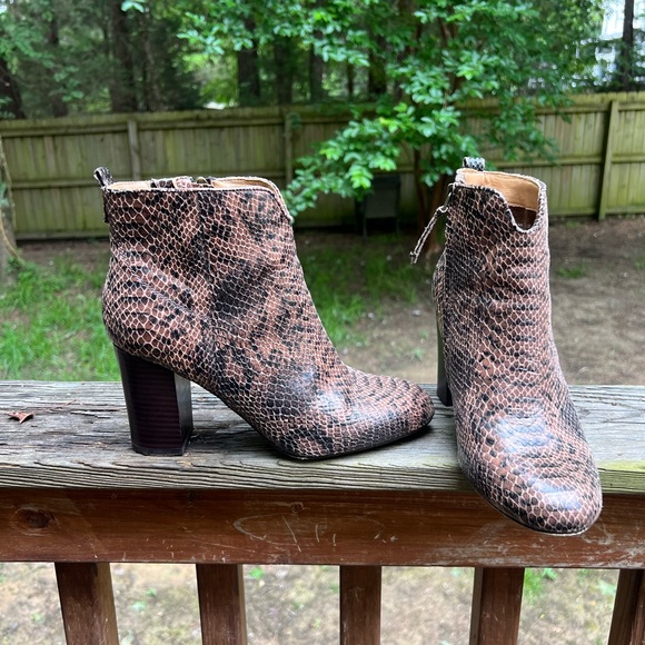 Lucca Lane Shoes - Lucca Lane Avra Brown Snakeskin Ankle Booties size 8.5
